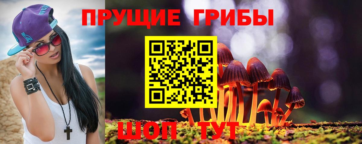 Галлюциногенные грибы ЛСД Светлоград